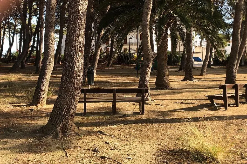 شقة Piso Las Mimosas 90 Metros De Playa Port Pollensa بورت دي بوينسا إسبانيا